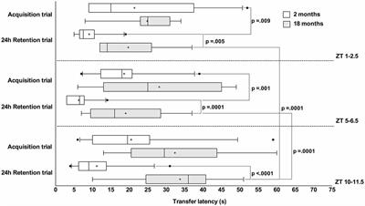 Time-of-Day and Age Impact on Memory in Elevated Plus-Maze Test in Rats